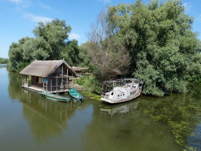Film festival in Danube Delta to hold new edition in August 2022