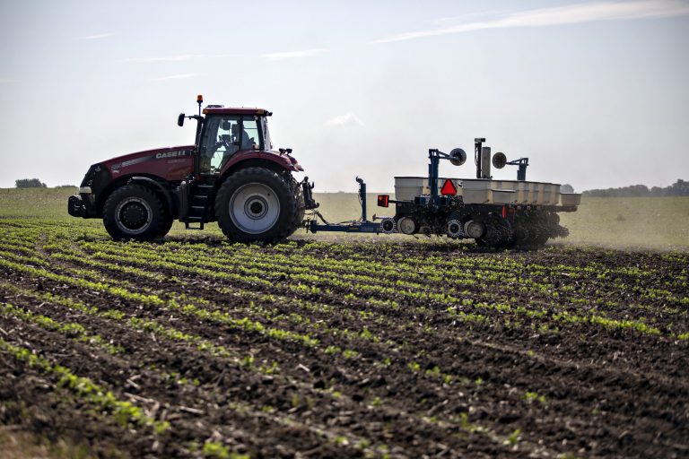 Eurostat: România, cea mai ridicată rată a angajării din UE în agricultură, silvicultură şi pescuit