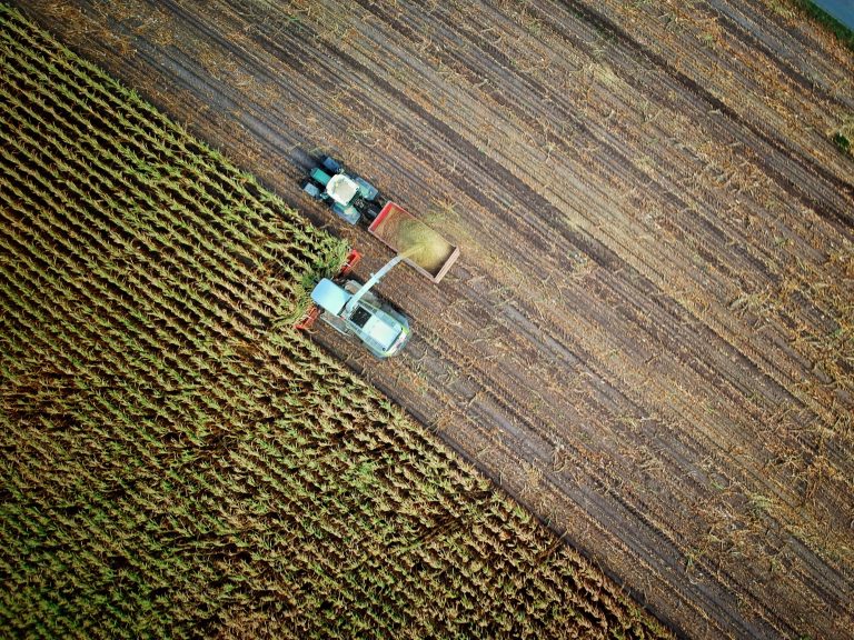 Agricultura românească, „meteodependentă”. Oros deplânge seceta severă din țară