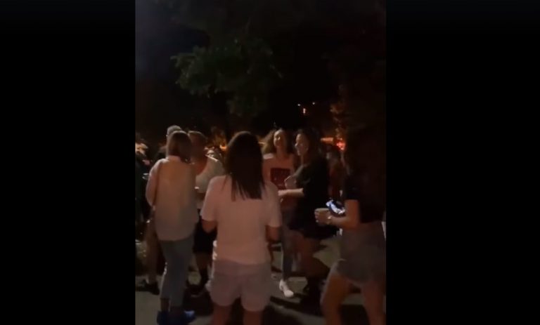 VIDEO | Petrecere în Herăstrău. Zeci de tineri au ascultat muzică şi au dansat fără a respecta nicio regulă