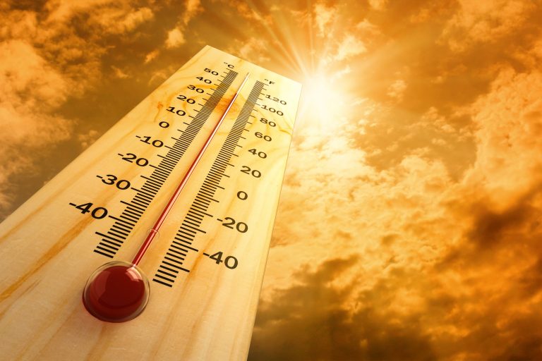 Cod roşu de caniculă în București și alte șase județe, cu temperaturi de 40 – 42 de grade