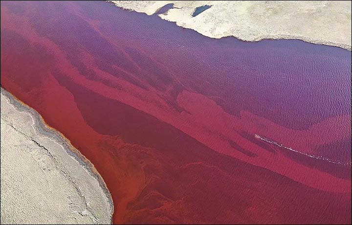 Accident ecologic în Rusia: Stare de urgenţă în zona oraşului Norilsk din cauza unei poluări masive cu produse petroliere