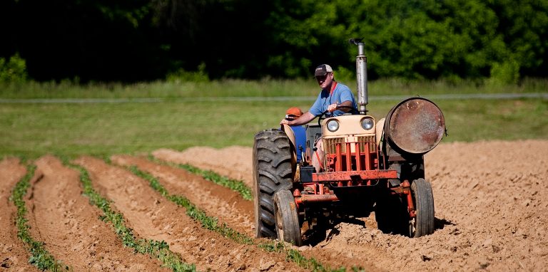 Angajaţii din agricultură şi industria alimentară vor avea un salariu minim de 3.000 lei, de la 1 iunie