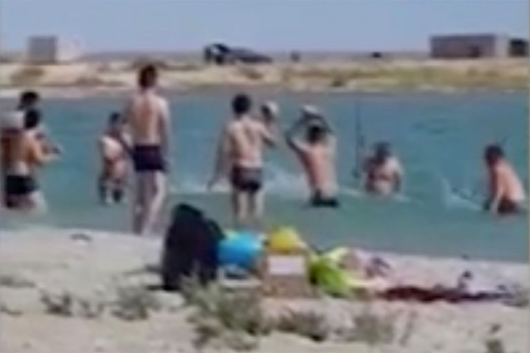 VIDEO | Turiști filmați în timp ce lovesc cu pietre o focă, pentru ca mai mulți copii să se poată poza cu ea