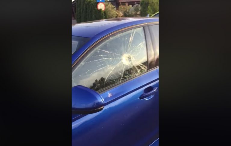 VIDEO | Fratele Alinei Pană de la Exatlon, executat în stil mafiot la Chiajna