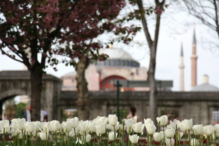 Reacția Patriarhiei Române după transformarea catedralei Sfânta Sofia din Istanbul în moschee