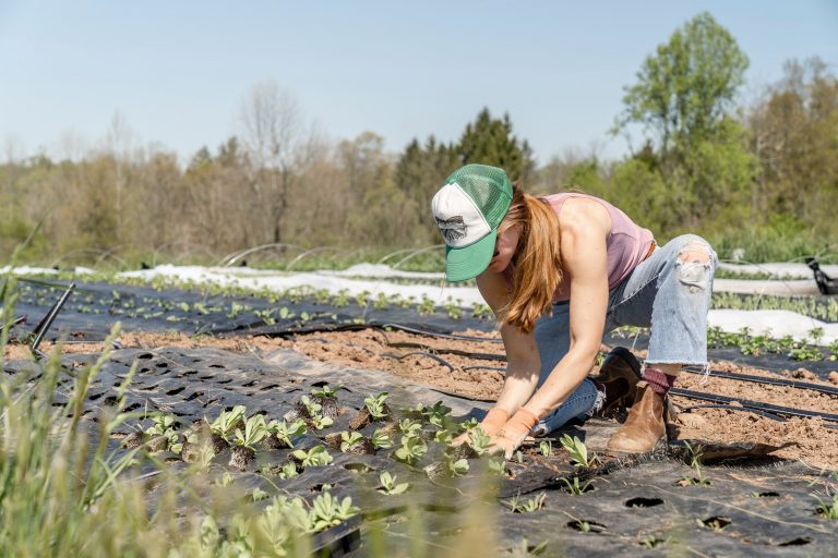 „Bine ați venit în iad!”. Anchetă despre fața sordidă a agriculturii din UE: muncitori tratați ca niște sclavi în ferme din Spania, Franța și Germania
