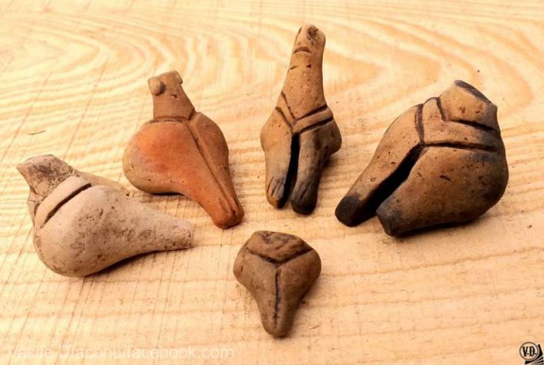 Archeologists find  6,500-year-old ‘religious relics’ in what they think was a village in northeast Romania