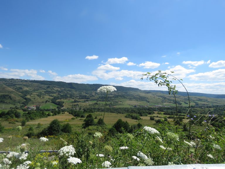 ‘Pottery capital’ of Romania continues centuries-old craft in Transylvanian region despite coronavirus pandemic