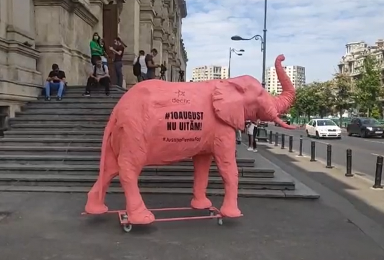 VIDEO | Un elefant roz va ajunge astăzi la toate instituțiile implicate în Dosarul „10 august”