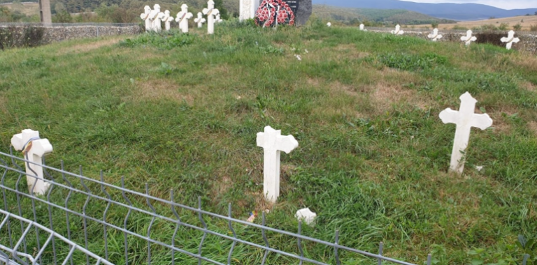Anchetă privind vandalizarea unui cimitir memorial al ostașilor români din Satu Mare