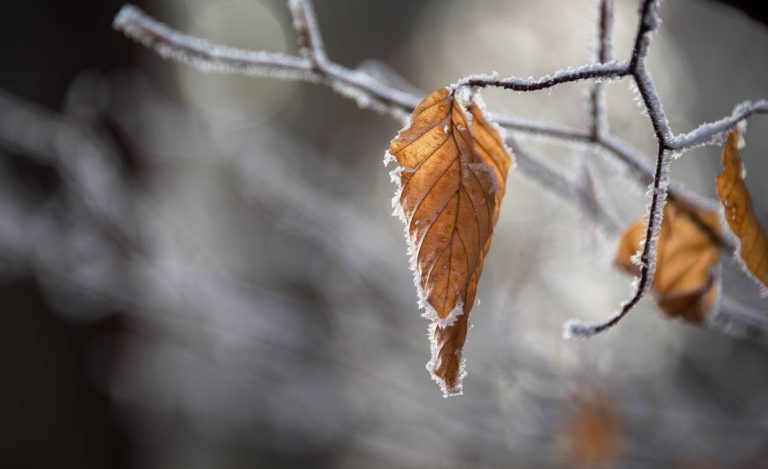 Minus 2,9 grade Celsius, sâmbătă dimineață, la Miercurea Ciuc – cea mai scăzută temperatură înregistrată la nivel naţional