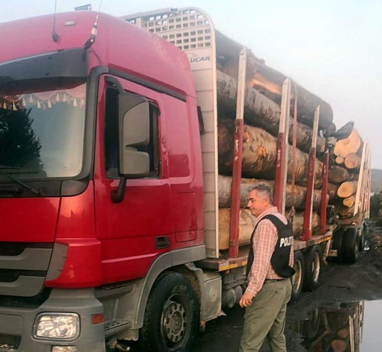 Romanian environmental activist ‘Agent Green’ hails court ruling that makes illegal logging harder