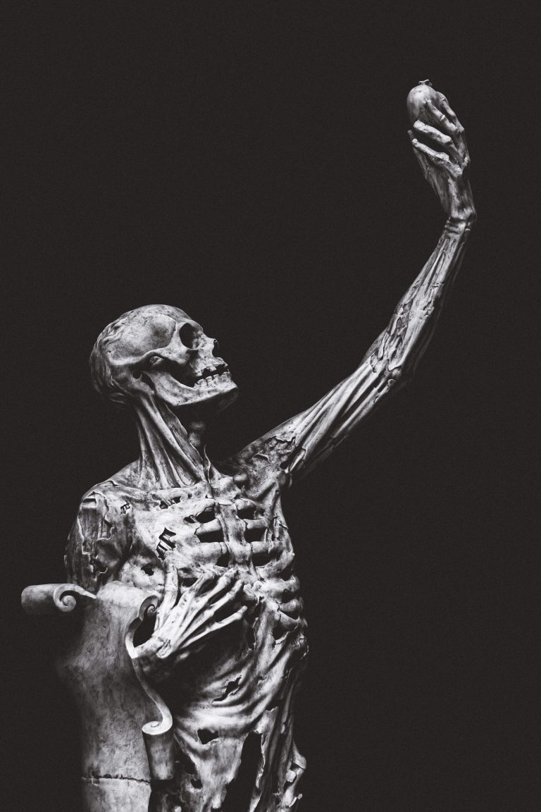 Revoluţie în evoluţie: Corpul uman are o arteră nouă