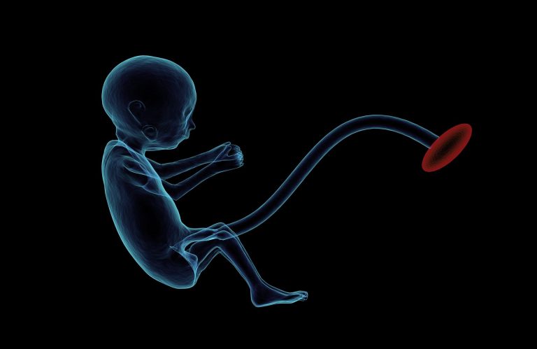 Controversă medicală: Tratamentul experimental administrat lui Trump, obținut de obicei din țesuturi fetale. Reacția companiei Regeneron