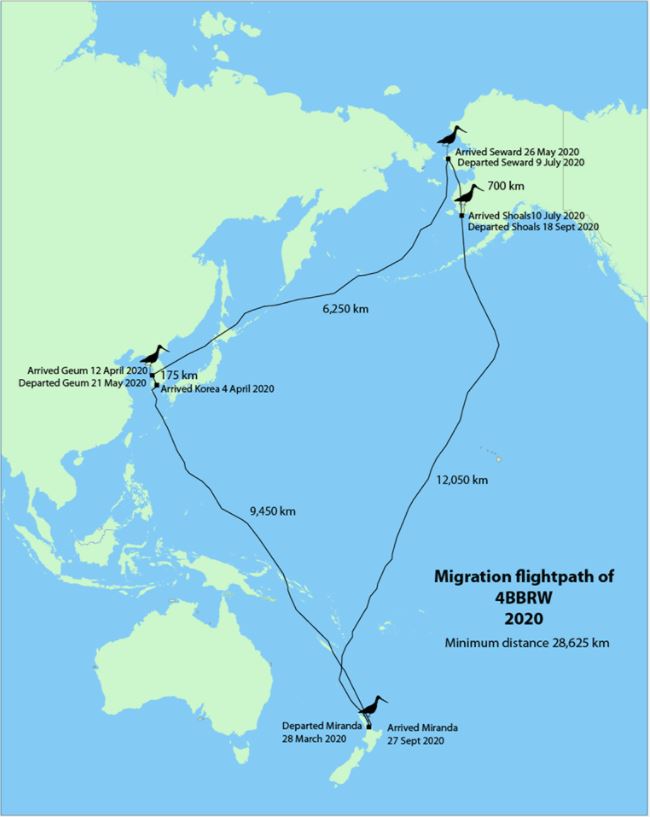 Recordul unui sitar: 12.000 km, 9 zile peste Pacific, un zbor neîntrerupt din Alaska în Noua Zeelandă