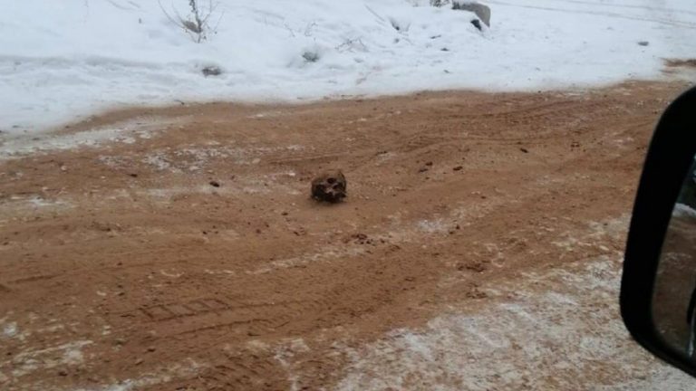 FOTO | Decor sinistru: Material antiderapant cu oase umane, împrăștiat pe o șosea din Rusia