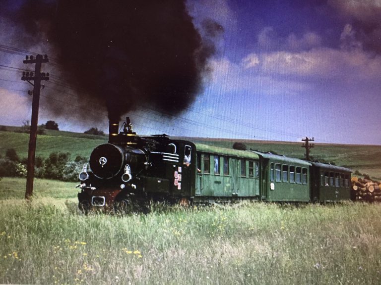 Century-old steam train railway in Transylvania wins support from Prince Charles