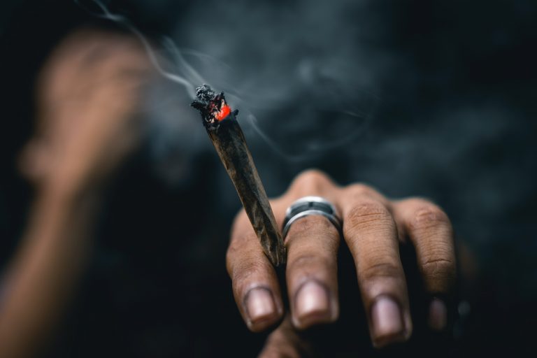 Cum vrea să repornească sectorul HoReCa premierul Macedoniei de Nord? Un cuvânt: marijuana