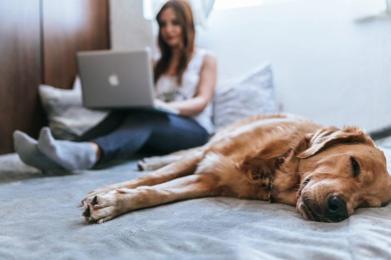 Ar trebui omenirea să renunțe la a mai avea animale de companie?