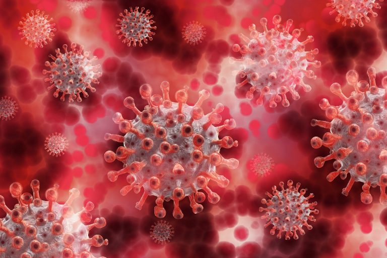 Hantavirus | ECDC: Nimic nu indică faptul că tulpina Anzi ar fi suferit o mutație