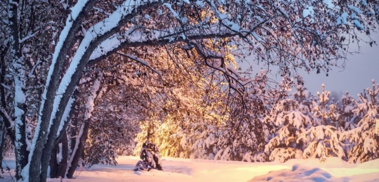 Europe hit by freeze, flights cancelled