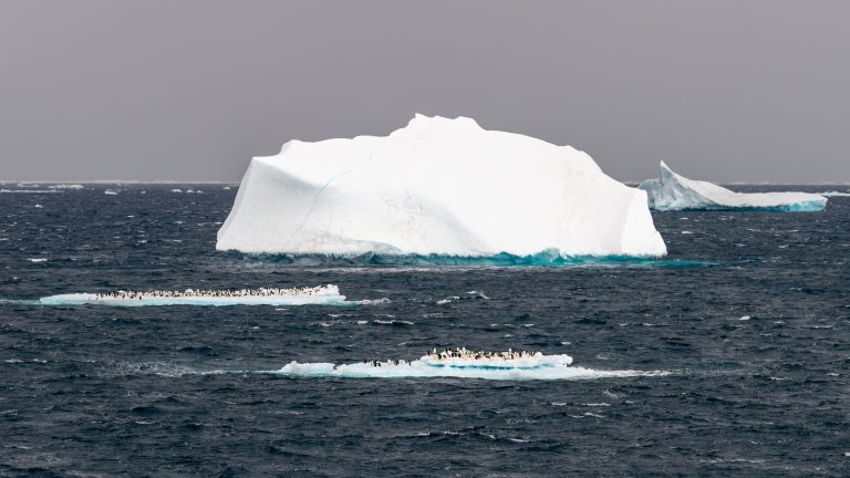 COVID-19 a ajuns în Antarctica, ultimul continent care rămăsese neinfectat