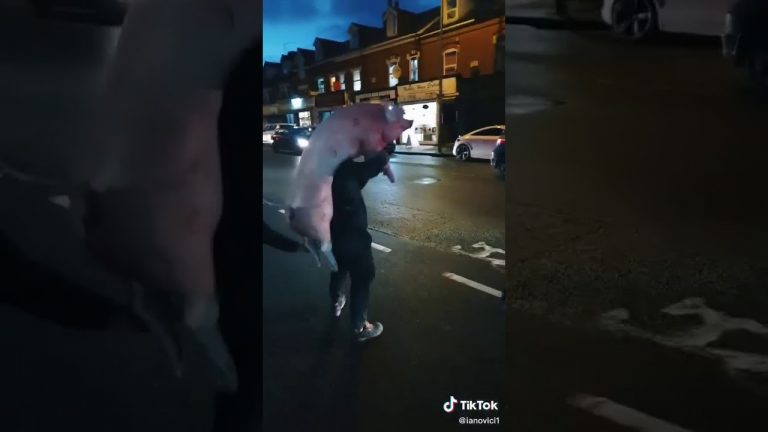 VIDEO. Romanians take Christmas pig slaughter ritual to London