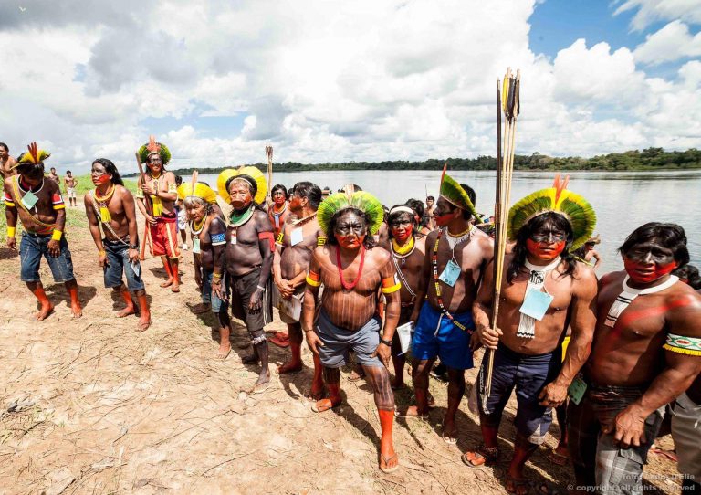 Ce leac folosesc indigenii amazonieni pentru a se vindeca de Covid-19