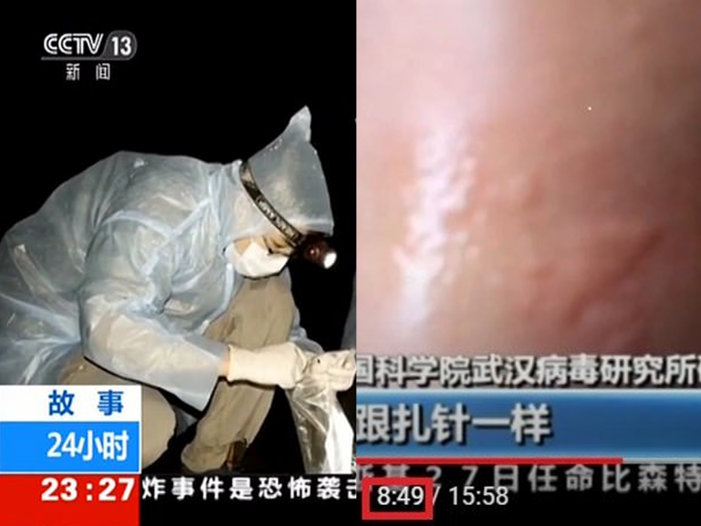 Cercetătorii de la laboratorul din Wuhan recunosc că au fost mușcați, în timp ce colectau probe dintr-o peșteră care găzduiește lilieci infectați cu Covid