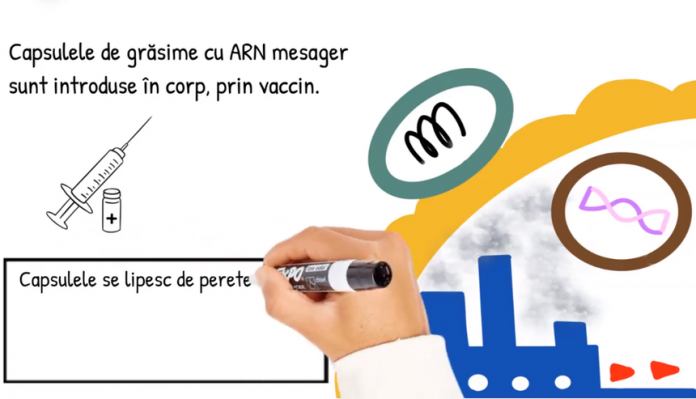 film-vaccin