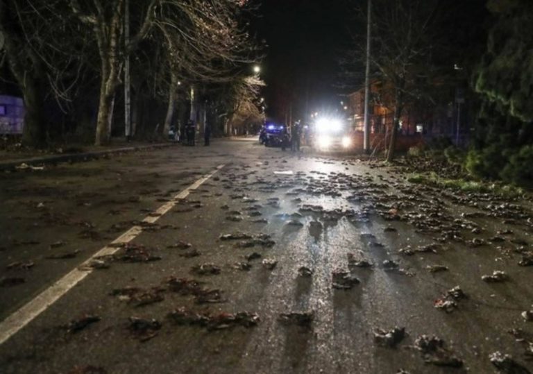 VIDEO | Mii de păsări au murit din cauza artificiilor la Roma