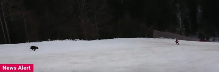 VIDEO. Skier chased by bear at Romanian resort