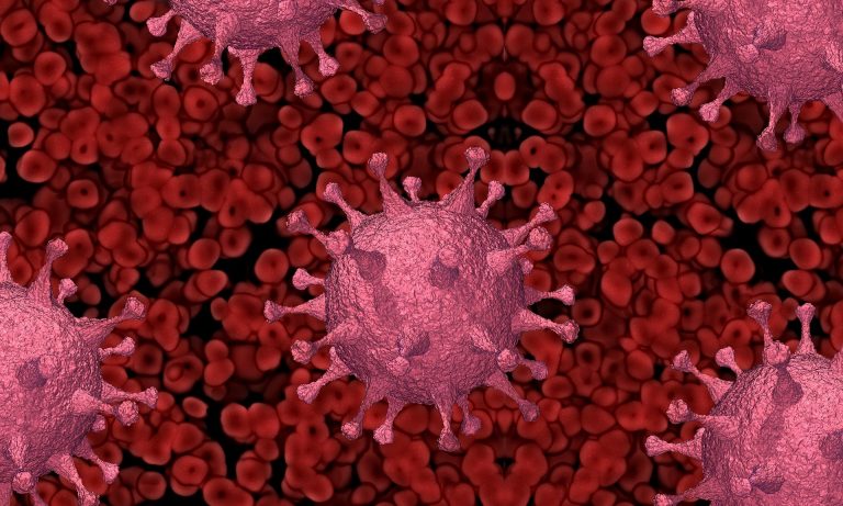 Studiu: Virusurile nu au nevoie de mutaţii ca să infecteze oamenii