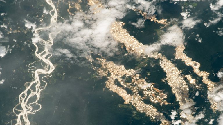 Ce a scos la iveală o captură foto realizată de Stația Spațială Internațională deasupra unei păduri amazoniene
