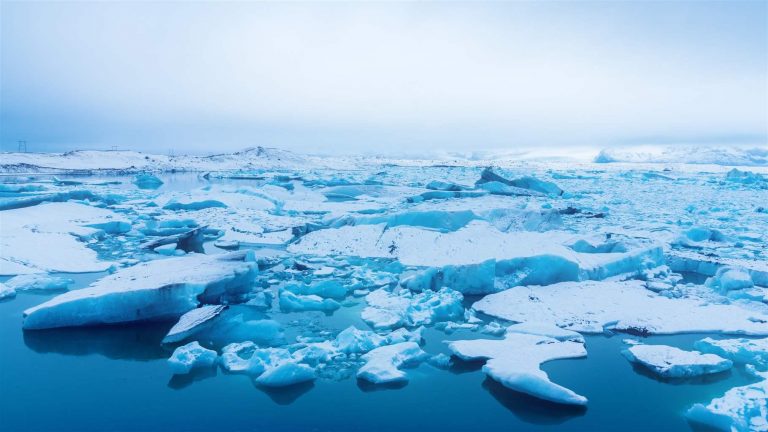 Încălzirea globală revine: cum va arăta Arctica în viitor. Ar putea redeveni ceea ce era cu 125.000 de ani în urmă
