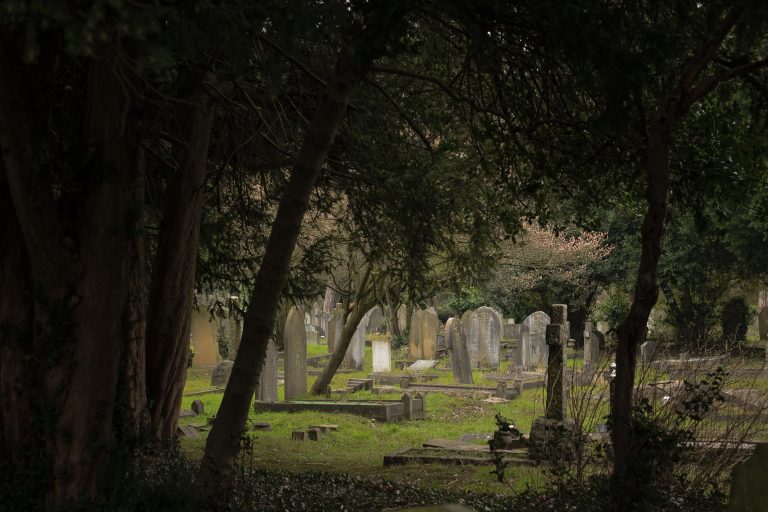 De pe scenă în cimitir. Muncitorii europeni se recalifică pentru locurile de muncă de după pandemie