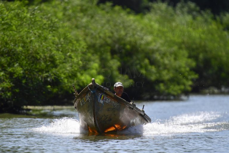 Director al Staţiunii de cercetări marine şi fluviale Sf. Gheorghe: Nu se întâmplă nicio secare a Deltei fiindcă se draghează pe braţul Bâstroe. O trăznaie din punct de vedere ştiinţific
