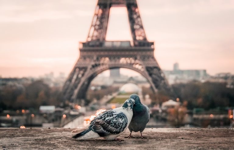 Carantină de o lună, în Paris şi alte zone din Franța, pe fondul vaccinării lente și înmulțirii cazurilor