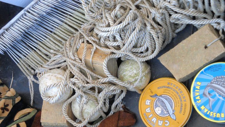 Caviar and sturgeon poaching widespread along lower Danube, World Wildlife Organization finds