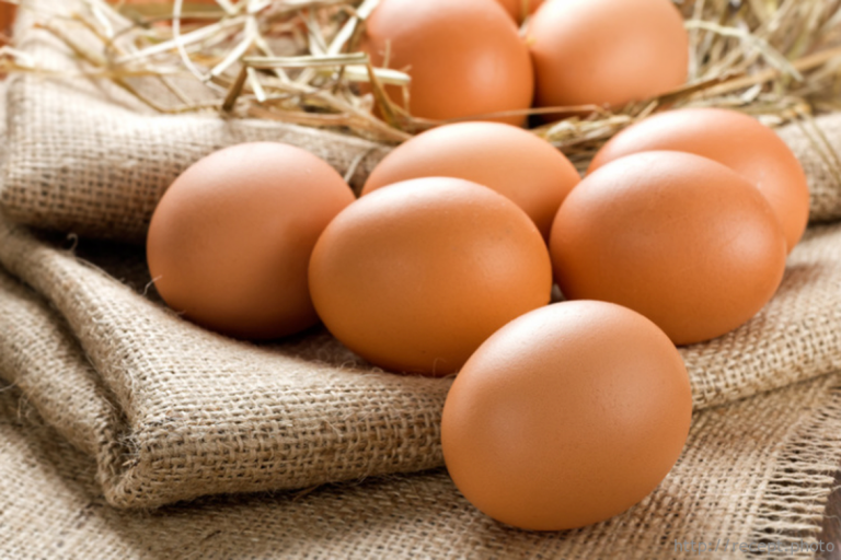 Directorul unei companii belgiene, condamnat la un an de închisoare cu executare în scandalul ouălor contaminate cu fipronil importat din România