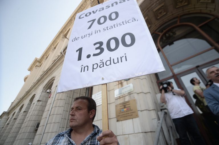 Ministrul Mediului: Sunt peste 5.000 dosare de pagubă, zeci de persoane decedate, peste 100 atacate de urs
