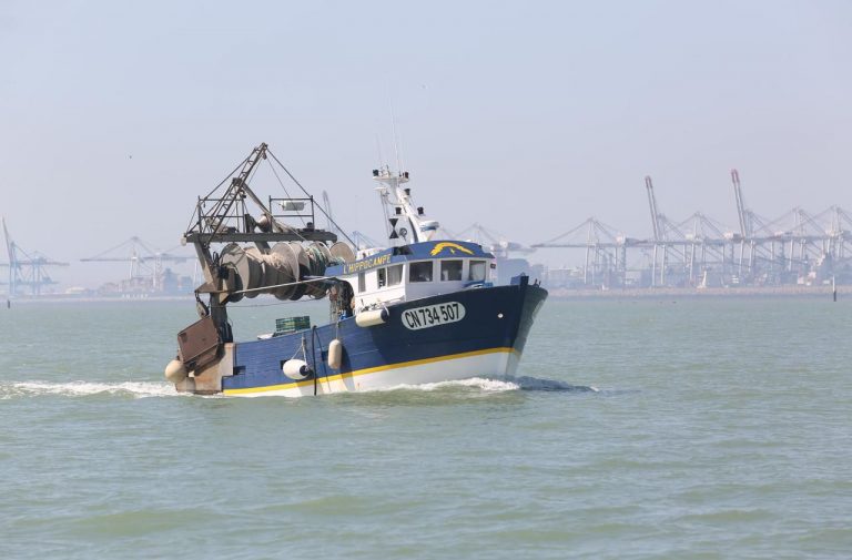 Operaţiune de recuperare a două corpuri care plutesc în Marea Neagră, în zona Gura Portiţei/ Alerta a fost dată de un pescador aflat în zonă