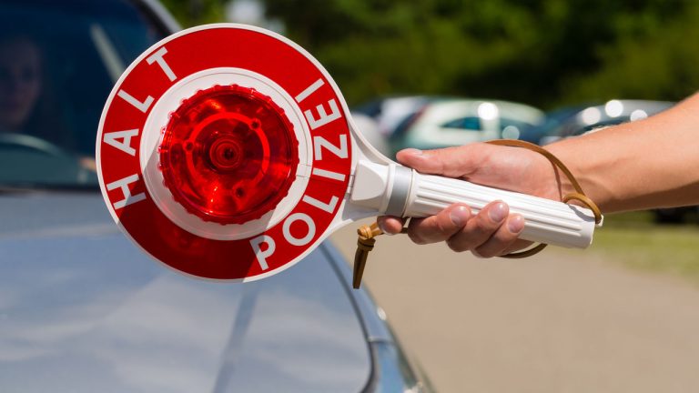 Românca-surpriză pentru poliția germană: 148 de mandate de arestare și un prieten urmărit