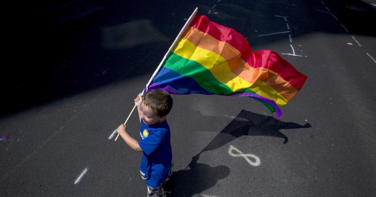 12 state membre UE critică legea ungară care interzice promovarea homosexualităţii în rândul minorilor