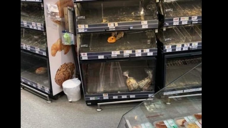 Reacția Mega Image, după ce doi şobolani au fost surprinși cum împărțeau ”frățește” un covrig de pe raftul unui magazin din Sectorul 1: Ne este cunoscută situația. Nu putem controla sursele externe