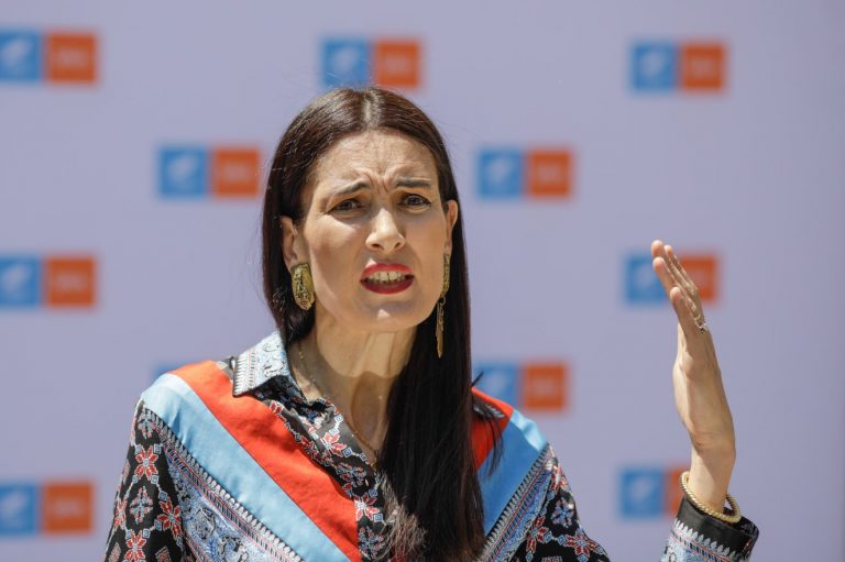 Clotilde Armand, urmărită penal după ce s-a desemnat singură manager al unui proiect anticorupție