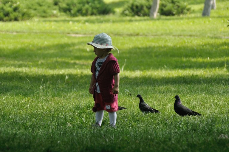 Cum va fi prima lună de vară – ANM