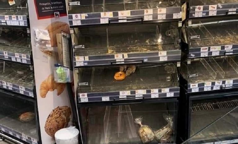 Magazinul în care au fost surprinse imagini cu şobolani, amendat şi închis temporar