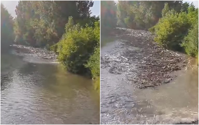 VIDEO  | Torrent of waste spoils idyllic river scene in western Romania